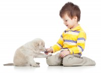 Pets and Children