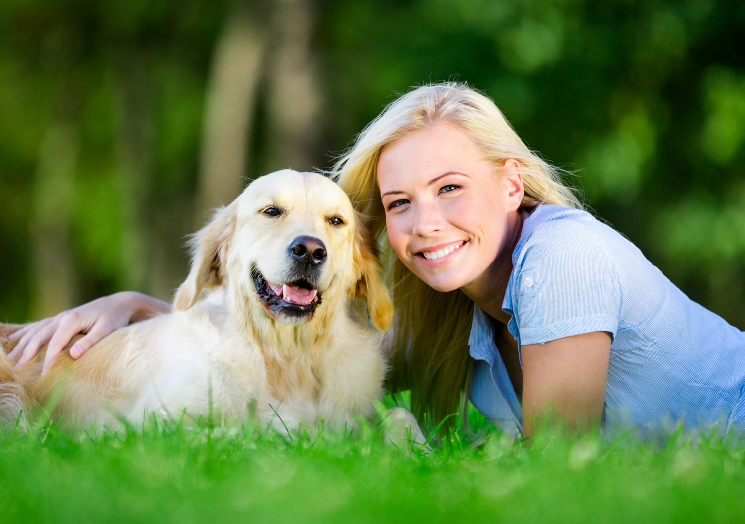 Photograph with your pet